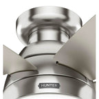 Hunter 52419 Brushed Nickel 52in Lilliana -  Brushed Nicked Image 8
