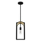Hunter 19737 Natural Iron Hunter Dukestown Natural Iron And Gold Leaf 1 Light Pendant Ceiling Light Fixture Image 1