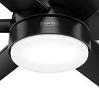 Hunter Skysail 60 Inch Skysail Matte Black Wet Rated Ceiling Fan With Led Light Kit And Handheld Remote
