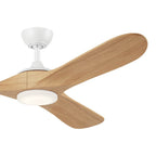 Kichler Lighting Mylo 60 Inch Mylo Fan