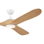 Kichler Lighting Mylo 70 Inch Mylo Fan