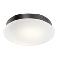 Kichler Lighting Ried Fan Lightit Led