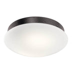 Kichler Lighting Ried Fan Lightit Led