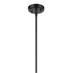 Kichler Lighting Everly 15.25'' 1-light Cone Pendant With Clear Glass In Black