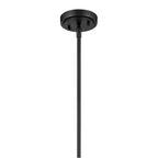 Kichler Lighting Everly 13.75'' 1-light Bell Pendant With Clear Seeded Glass In Black