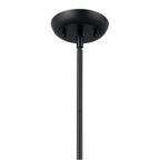 Kichler Lighting 52476NBR Natural Brass Pendant 1lt Image 3