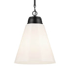Kichler Lighting 52662BK Black Pendant Large 1lt Image 4