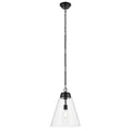 Kichler Lighting 52662BKCLR Black Pendant Large 1lt Image 1