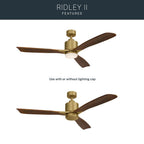 Kichler Lighting 300027NBR Natural Brass 52 Inch Ridley Ii Fan Led Image 6