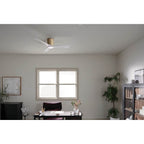 Kichler Lighting 300032CPZ Champagne Bronze 48 Inch Volos Fan Image 4