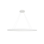 Kuzco LP79140-WH White Ovale 40-in White Led Linear Pendant Image 3