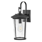 Lark Banks Medium Wall Mount Lantern