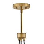 Lark 83013LCB Lacquered Brass Three Light Pendant Image 5