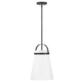 Lark 83053BK Black Single Light Pendant Image 1