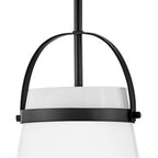Lark 83057BK Black Single Light Convertible Pendant Image 4