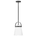 Lark 83057BK Black Single Light Convertible Pendant Image 1