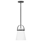 Lark 83057BK Black Single Light Convertible Pendant Image 1