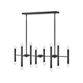 Lark 83196BK Black Sixteen Light Linear Image 1