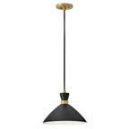 Lark 83257BK-HB Black,Heritage Brass Single Light Pendant Image 1