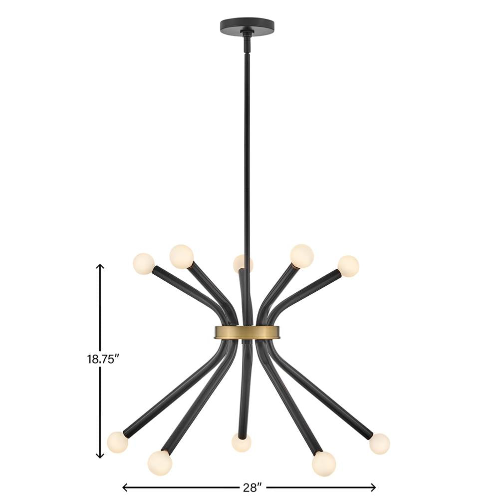 Lark 83855BK Black Medium Single Tier Image 3