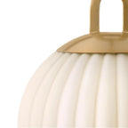 Lark 83897LCB Lacquered Brass Small Pendant Image 7
