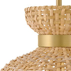 Lark 84164LCB Lacquered Brass Medium Pendant Image 5