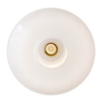 Lark 84257LCB Lacquered Brass Small Pendant Image 4