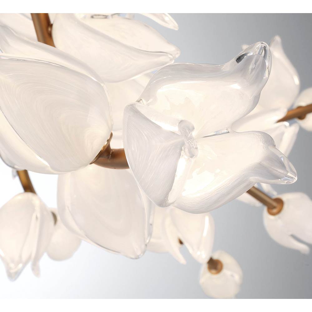Lib&Co 10116-03 Champagne Gold Belluno, 37 Light Oval Led Chandelier, Champagne Gold Image 7