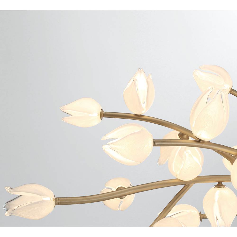 Lib&Co 10116-03 Champagne Gold Belluno, 37 Light Oval Led Chandelier, Champagne Gold Image 5
