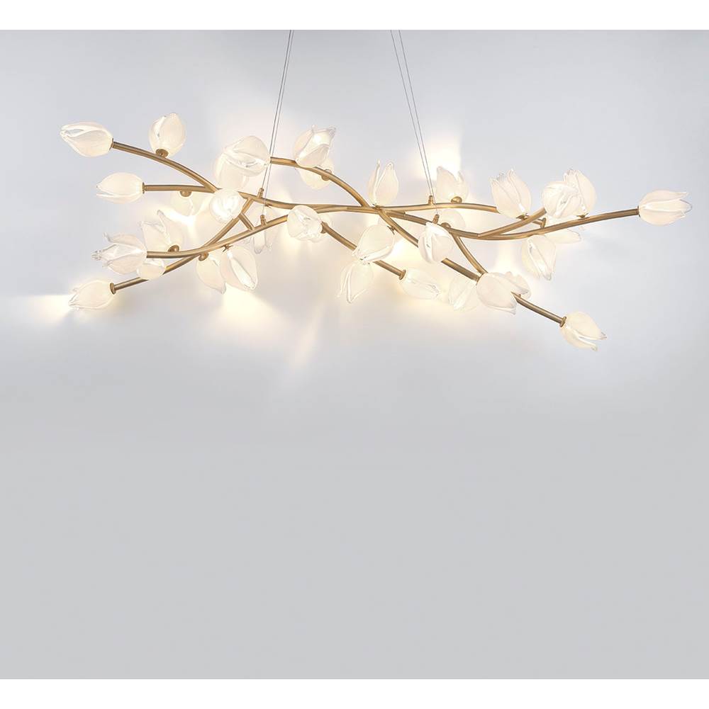 Lib&Co 10116-03 Champagne Gold Belluno, 37 Light Oval Led Chandelier, Champagne Gold Image 3