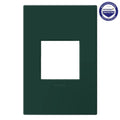 Legrand  Adorne Evergreen One-gang-plus Screwless Wall Plate With Microban
