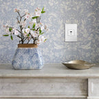 Legrand ARUSB2AC6W4 White Adorne Full-size, Hybrid Usb Outlet, A/c Usb Outlet, White Image 6