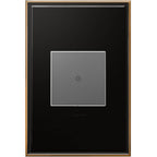 Legrand Adorne Brushed Stainless Steel, 1-gang Wall Plate
