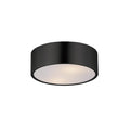 Maxim Lighting Tommy 12''  2-light Surface Mount