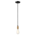 Maxim Lighting Early Electric Early Electric 1-light Pendant