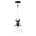 Maxim Lighting 2871AR Anthracite Paloma Single Pendant Image 1