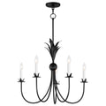 Maxim Lighting 2885AR Anthracite Paloma 5-light Chandelier Image 1