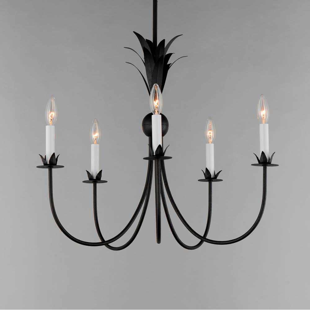 Maxim Lighting 2885AR Anthracite Paloma 5-light Chandelier Image 3