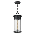 Maxim Lighting 30636CDBKP Black Patina Windsor 1-light Outdoor Pendant Image 1
