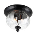 Maxim Lighting Carriage House Dc Carriage House Dc 2-light Outdoor Ceiling Mount
