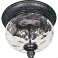 Maxim Lighting Carriage House Vx Carriage House 2-light Outdoor Ceiling Mount