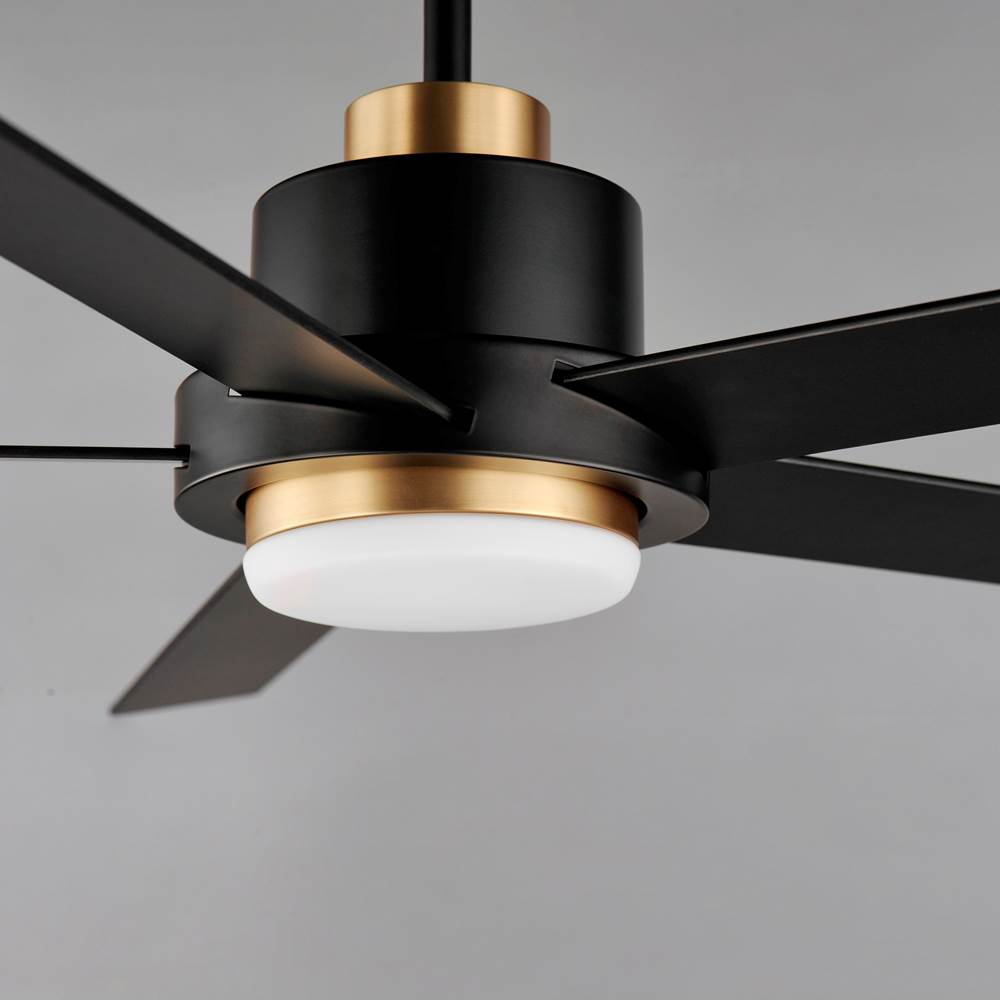 Maxim Lighting 88826BKGLD Black,Gold Daisy 60'' 5-blade Fan W Led Light Kit Image 3