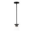 Maxim Lighting Corona 1-light Mini Pendant