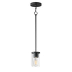Maxim Lighting 90281CLBK Black Lateral Mini Pendant Image 1