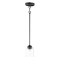 Maxim Lighting Acadia 1-light Pendant