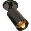 Maxim Lighting Spots 1-light Can Wall/flush Mount