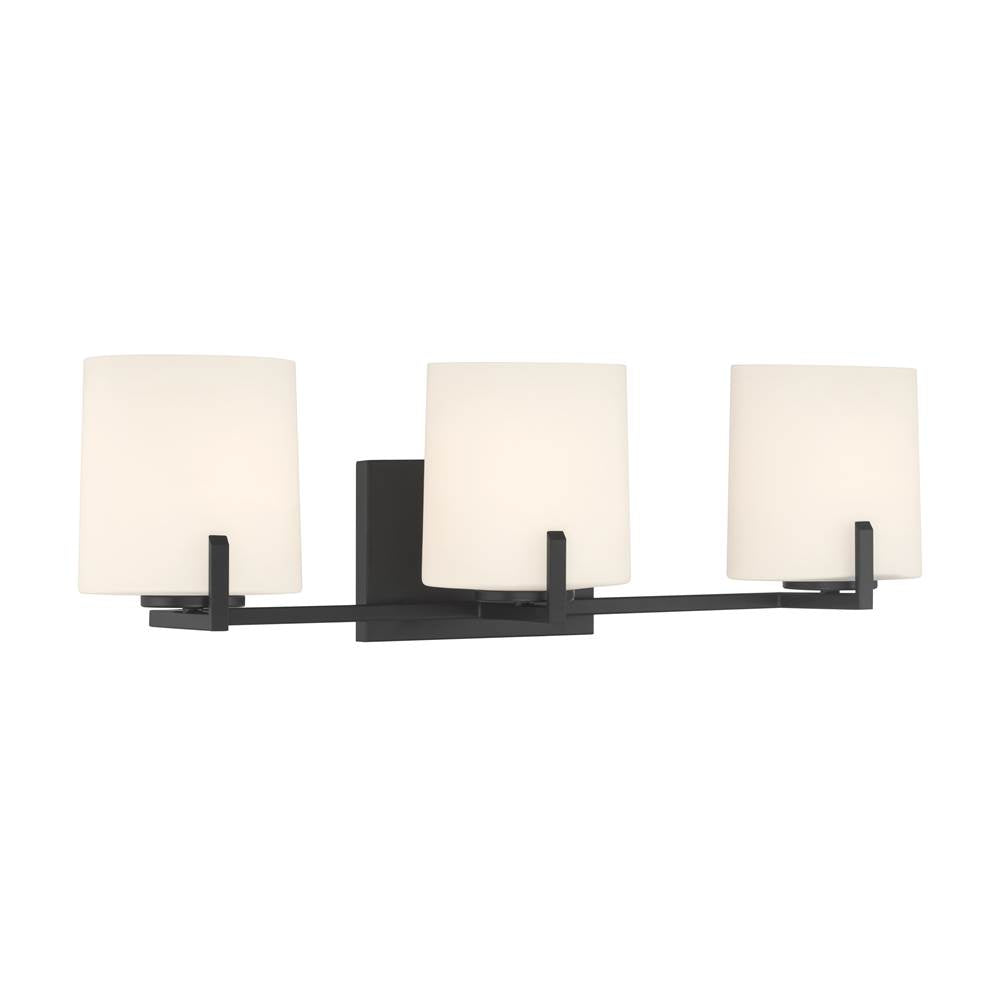 Minka-Lavery Mirelle 25'' 3-light Vanity