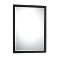 Minka-Lavery Paradox Rectangle Mirror
