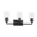Minka-Lavery Binsly 3 Light Bath Vanity