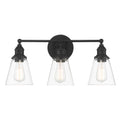Minka-Lavery Barwell 3 Lt Vanity